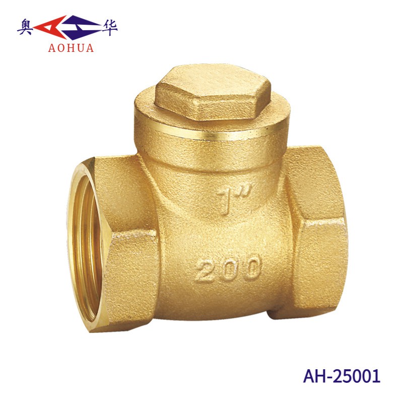 One Way Non Return Check Valves